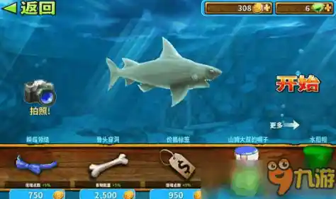 谁说进化之路只能孤单?快来《饥饿鲨进化中文版》开启你的鲨鱼征服之旅! 谁说进化之路只能孤单?快来《饥饿鲨进化中文版》开启你的鲨鱼征服之旅!