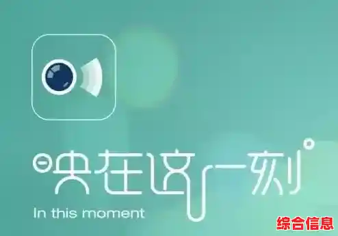 畅享映客电脑版：轻松一点，直播互动乐趣尽在掌握之间