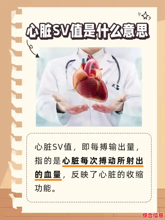 SV具体指什么？深入探讨这一术语的核心概念与常见用途