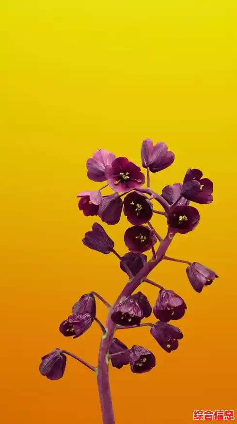 苹果手机高清壁纸精选:绚丽色彩镌刻每一刻美好瞬间 苹果手机高清壁纸精选:绚丽色彩镌刻每一刻美好瞬间