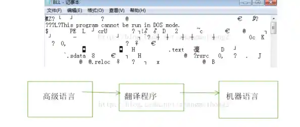 深入解析bin在不同语境中的具体定义与功能