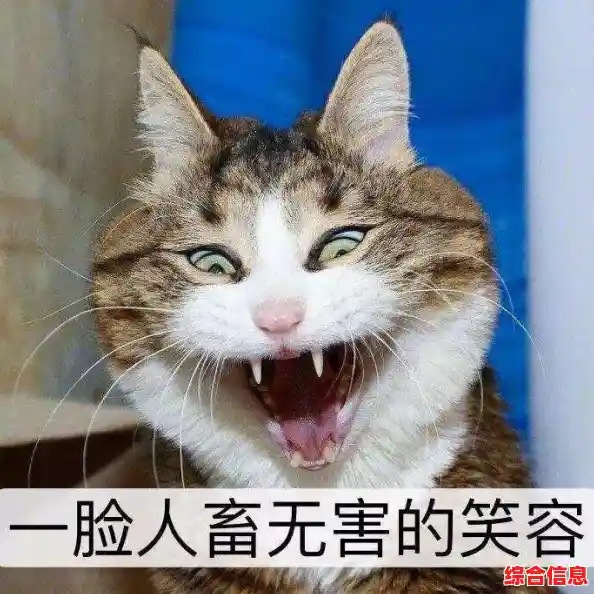 空手道猫咪(Karatecat)难道你不想体验这款刺激的猫咪格斗闯关游戏吗? 空手道猫咪(Karatecat)难道你不想体验这款刺激的猫咪格斗闯关游戏吗?