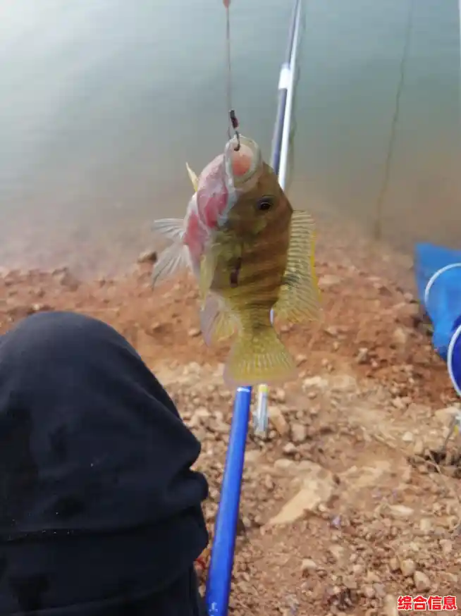 想体验最真实的钓鱼模拟？欢乐钓鱼大师MOD版》让你一竿在手乐趣无穷！