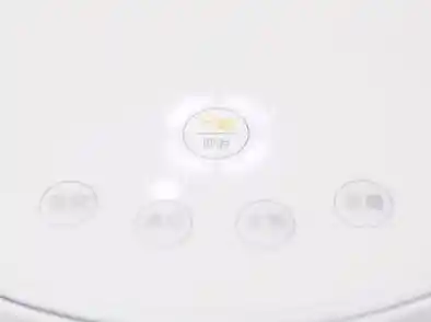 还在找休闲射击游戏的乐趣？小鸡大乱斗魔改版》让你体验不一样的魔性对战！