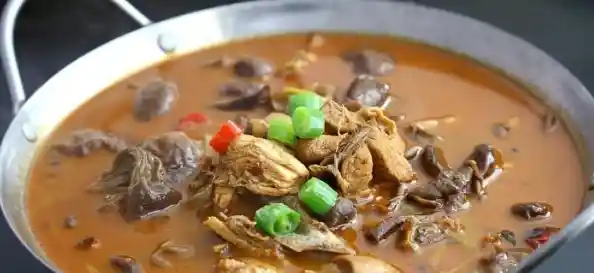 还在找休闲射击游戏的乐趣？小鸡大乱斗魔改版》让你体验不一样的魔性对战！