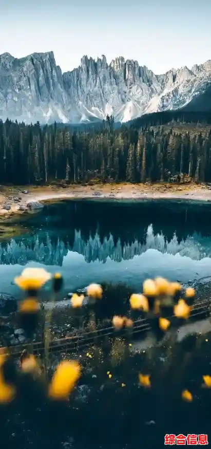 手机摄影图库精选：捕捉生活每一刻的高清视觉盛宴