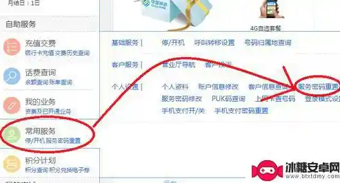 如何安全快捷地查询手机服务密码：实用方法汇总