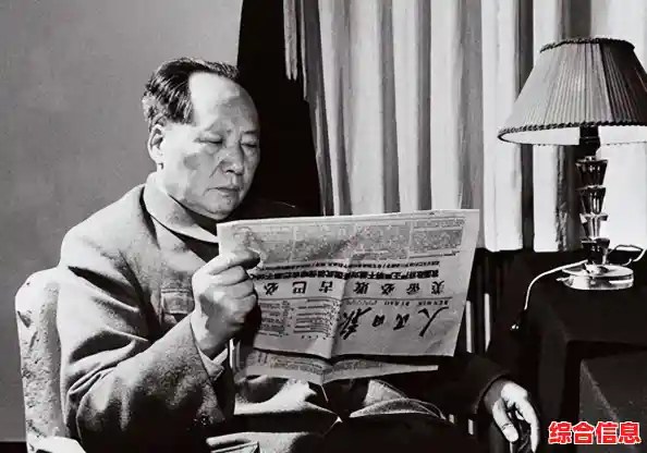 精彩视频内容无限畅享，指尖轻点即刻免费体验