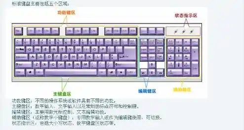 电脑键盘指法练习：掌握高效打字技巧的关键步骤