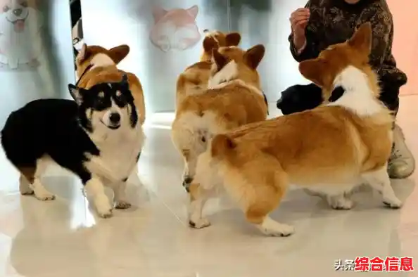 还在为压力烦恼？打屁股2》的恶搞解压玩法你玩过吗？