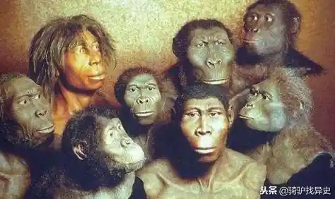 想体验从石器时代到现代战争的策略乐趣?战争进化史2中文版等你来挑战! 想体验从石器时代到现代战争的策略乐趣?战争进化史2中文版等你来挑战!