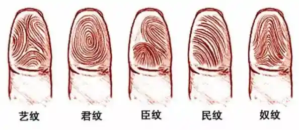 想挑战你的眼力极限？快来试试《指掌》的指纹闯关吧！