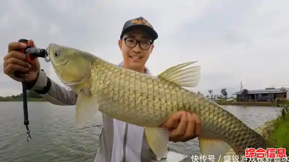 如何轻松升级钓具钓大鱼?鱼主人》满足你的所有想象! 如何轻松升级钓具钓大鱼?鱼主人》满足你的所有想象!