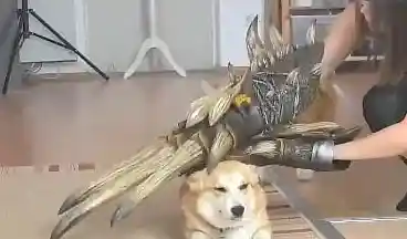 想体验Q版宠物养成与对战的乐趣?快来试试《怪物联盟》吧! 想体验Q版宠物养成与对战的乐趣?快来试试《怪物联盟》吧!