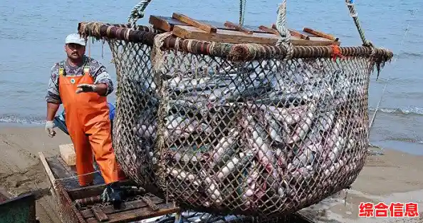 热爱足球的你，怎能不玩《足球经理2024手游汉化版》