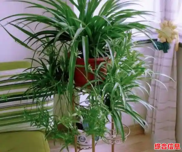 高效管理你的iPhone,这几款苹果手机助手不容错过 高效管理你的iPhone,这几款苹果手机助手不容错过