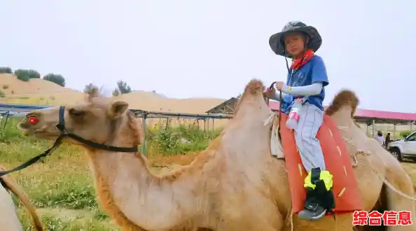 山地沙漠任你驰骋,越野摩托挑战》为何不试试? 山地沙漠任你驰骋,越野摩托挑战》为何不试试?