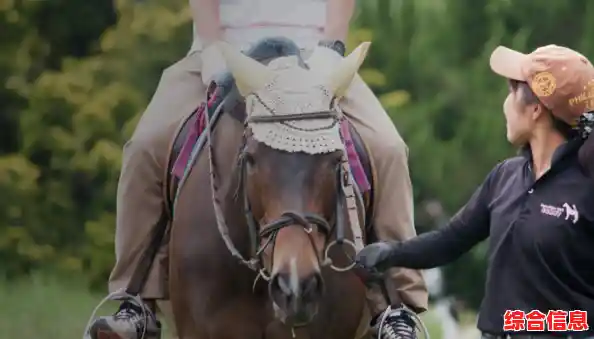 想体验与马娘并肩奔跑的乐趣？赛马娘台服》真的不容错过！