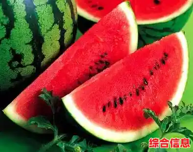 水果合成乐趣多，合成大西瓜你能拿多少分？