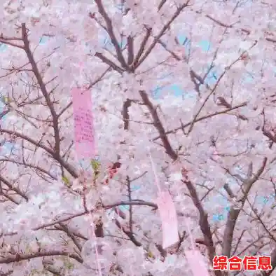 全新版本手机微信待您探索,下载即享流畅社交新体验 全新版本手机微信待您探索,下载即享流畅社交新体验