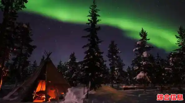 白昼黑夜轮转,策略生存并存—猛鬼宿舍加强版》还不来感受? 白昼黑夜轮转,策略生存并存—猛鬼宿舍加强版》还不来感受?