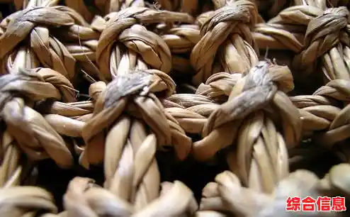 全面解析HP驱动下载步骤,确保设备高效运行 全面解析HP驱动下载步骤,确保设备高效运行