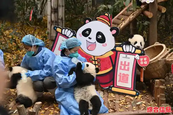 想在3D世界中与鹰眼、艾斯并肩作战?航海王热血航线九游版》2023最新版本等你来体验! 想在3D世界中与鹰眼、艾斯并肩作战?航海王热血航线九游版》2023最新版本等你来体验!