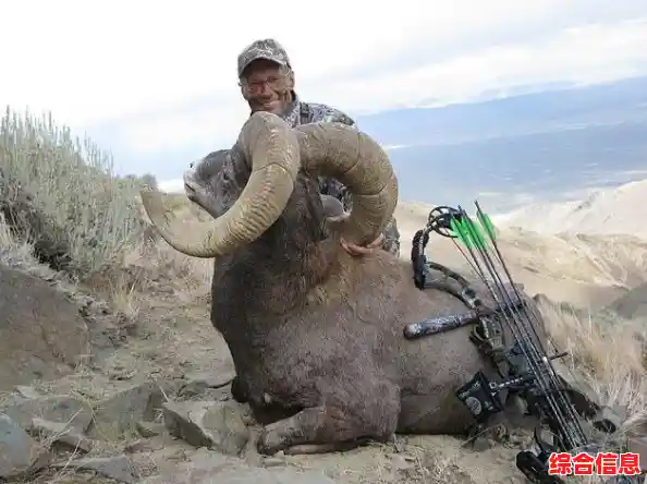 猎杀之旅：野外狩猎技巧全攻略，助你晋升顶级猎人行列！