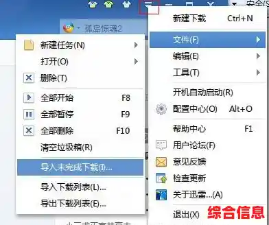 迅雷下载任务未能顺利完成的具体原因及排查方法解析