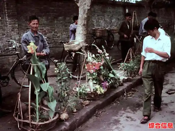 手机三国杀：群雄逐鹿，谁能问鼎巅峰霸主之位？