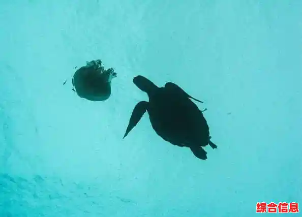 谁能拒绝从弱小鲨鱼成长为海中霸主的快感?饥饿鲨世界国际服老版本限时畅玩! 谁能拒绝从弱小鲨鱼成长为海中霸主的快感?饥饿鲨世界国际服老版本限时畅玩!
