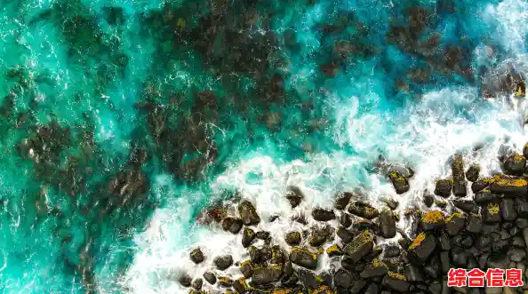 精选高清电脑壁纸，让每一寸屏幕都焕发鲜活魅力！