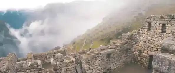 探索《失落之城》的奇幻森林，你的冒险思维够缜密吗？