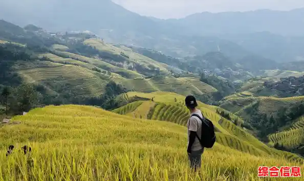 2020年度手机处理器天梯榜:全面解析顶尖芯片性能表现 2020年度手机处理器天梯榜:全面解析顶尖芯片性能表现