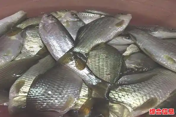 小鱼分享实用技巧:快速处理U盘通用卷无法停止问题 小鱼分享实用技巧:快速处理U盘通用卷无法停止问题