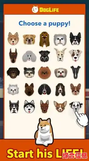 还在找休闲模拟手游?狗的生存(DogSurvivalSimulator)让你化身萌犬探索世界,不试试吗? 还在找休闲模拟手游?狗的生存(DogSurvivalSimulator)让你化身萌犬探索世界,不试试吗?