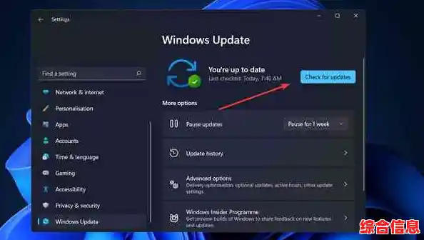 如何查看您的 Windows 11 正式版系统当前版本及最新更新 如何查看您的 Windows 11 正式版系统当前版本及最新更新