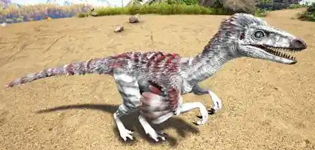 想体验恐龙的生存冒险?方舟手游版带你重返侏罗纪! 想体验恐龙的生存冒险?方舟手游版带你重返侏罗纪!