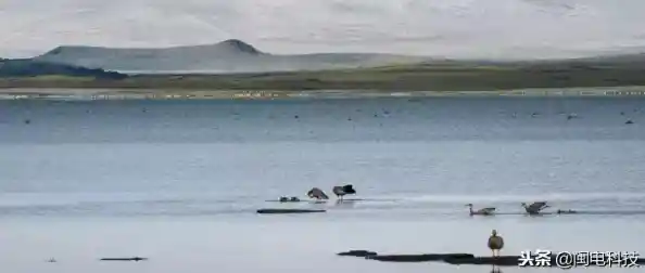 海康硬盘录像机:全天候守护家庭安全,让您安心无忧 海康硬盘录像机:全天候守护家庭安全,让您安心无忧