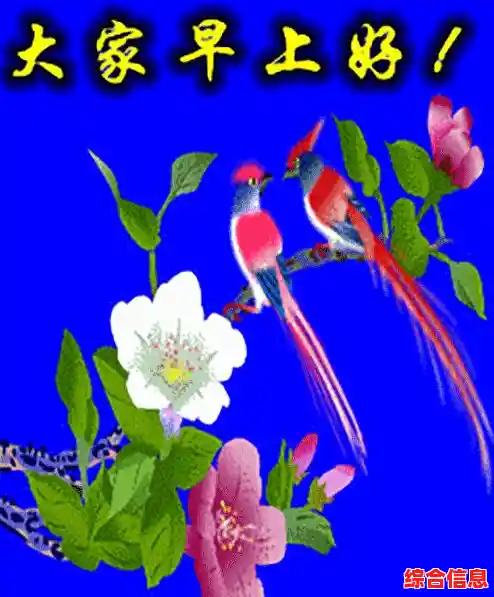 掌握微信消息群发功能,快速实现高效信息推送 掌握微信消息群发功能,快速实现高效信息推送