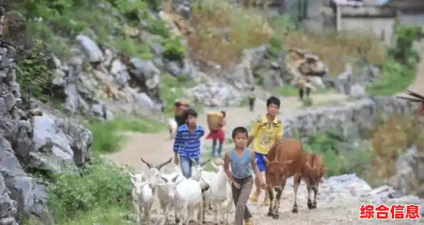 显卡性能大战升级:2021天梯图全面解析顶尖型号竞争格局! 显卡性能大战升级:2021天梯图全面解析顶尖型号竞争格局!