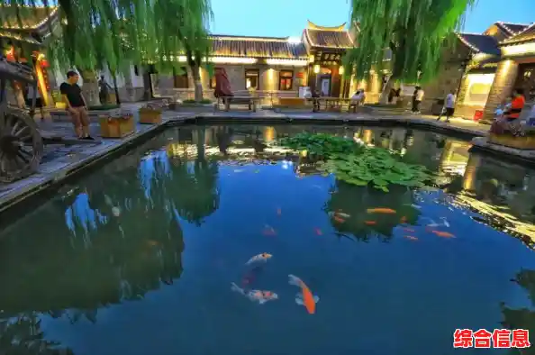 vcf文件打开教程来了！小鱼分享详细步骤与常见工具