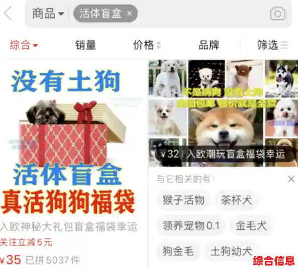 《QQ宠物新时代:萌宠虚拟养成的社交乐趣与情感连接》 《QQ宠物新时代:萌宠虚拟养成的社交乐趣与情感连接》