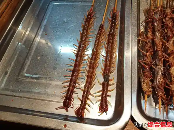 还在找有趣的模拟经营手游?我家有个烧烤摊》让你解锁烤串征服客人! 还在找有趣的模拟经营手游?我家有个烧烤摊》让你解锁烤串征服客人!