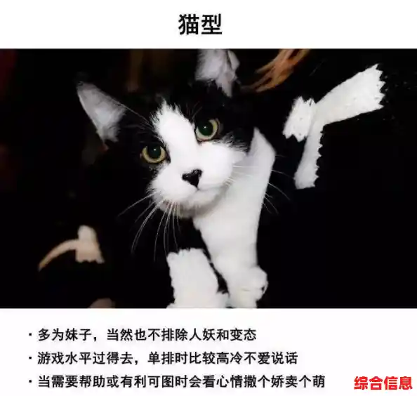 谁说换装游戏不能撸宠?以闪亮之名国际服》给你穿搭与萌宠的双倍快乐! 谁说换装游戏不能撸宠?以闪亮之名国际服》给你穿搭与萌宠的双倍快乐!