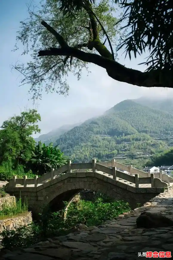 想知道《旅行青蛙》里的小家伙下次会带回怎样的风景?快来发现吧! 想知道《旅行青蛙》里的小家伙下次会带回怎样的风景?快来发现吧!